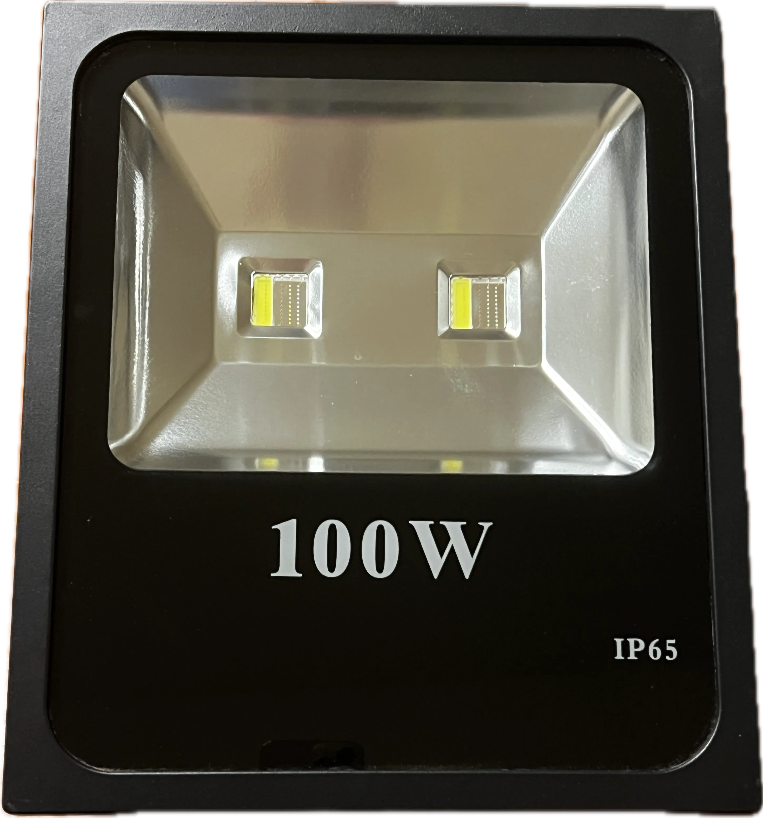 100 Watt WRGB 12v Flood Light