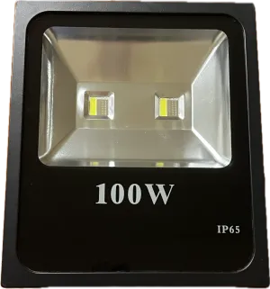 100 Watt WRGB 12v Flood Light