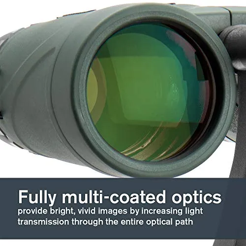 Celestron 71332 Nature DX 8x42 Binocular (Green)