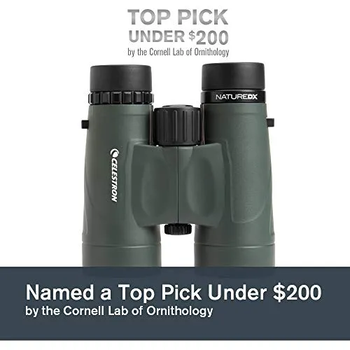 Celestron 71332 Nature DX 8x42 Binocular (Green)