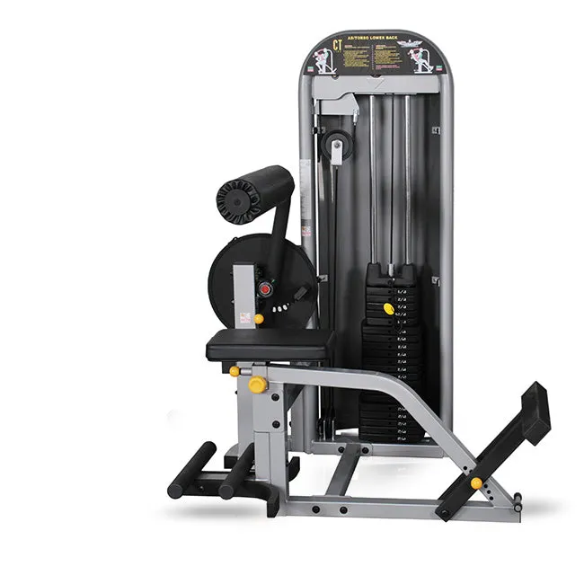 InFlight Multi Ab Back Machine