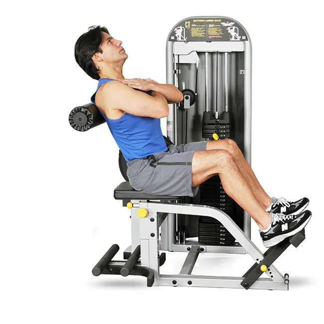InFlight Multi Ab Back Machine