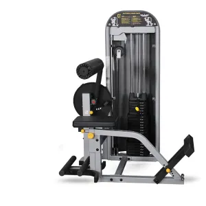 InFlight Multi Ab Back Machine