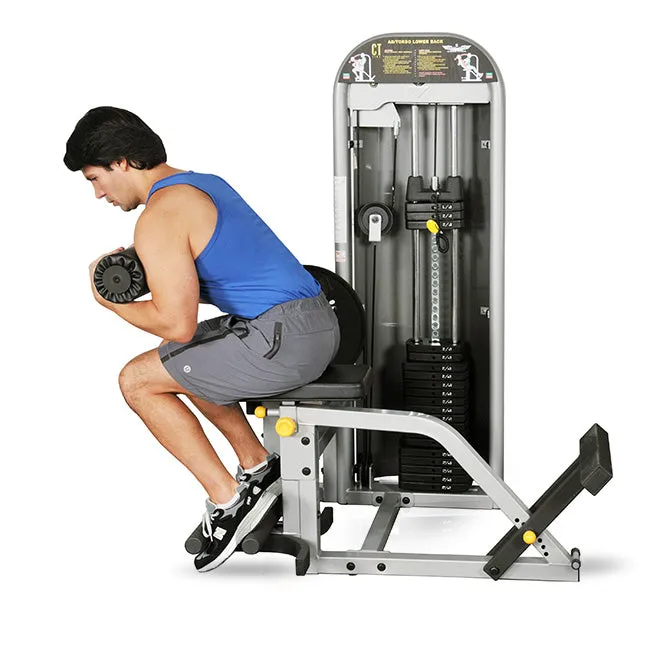 InFlight Multi Ab Back Machine