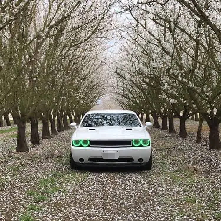 Oracle LED Headlight Halo Kit Dodge Challenger (2008-2014) Projector or Non-Projector Headlight