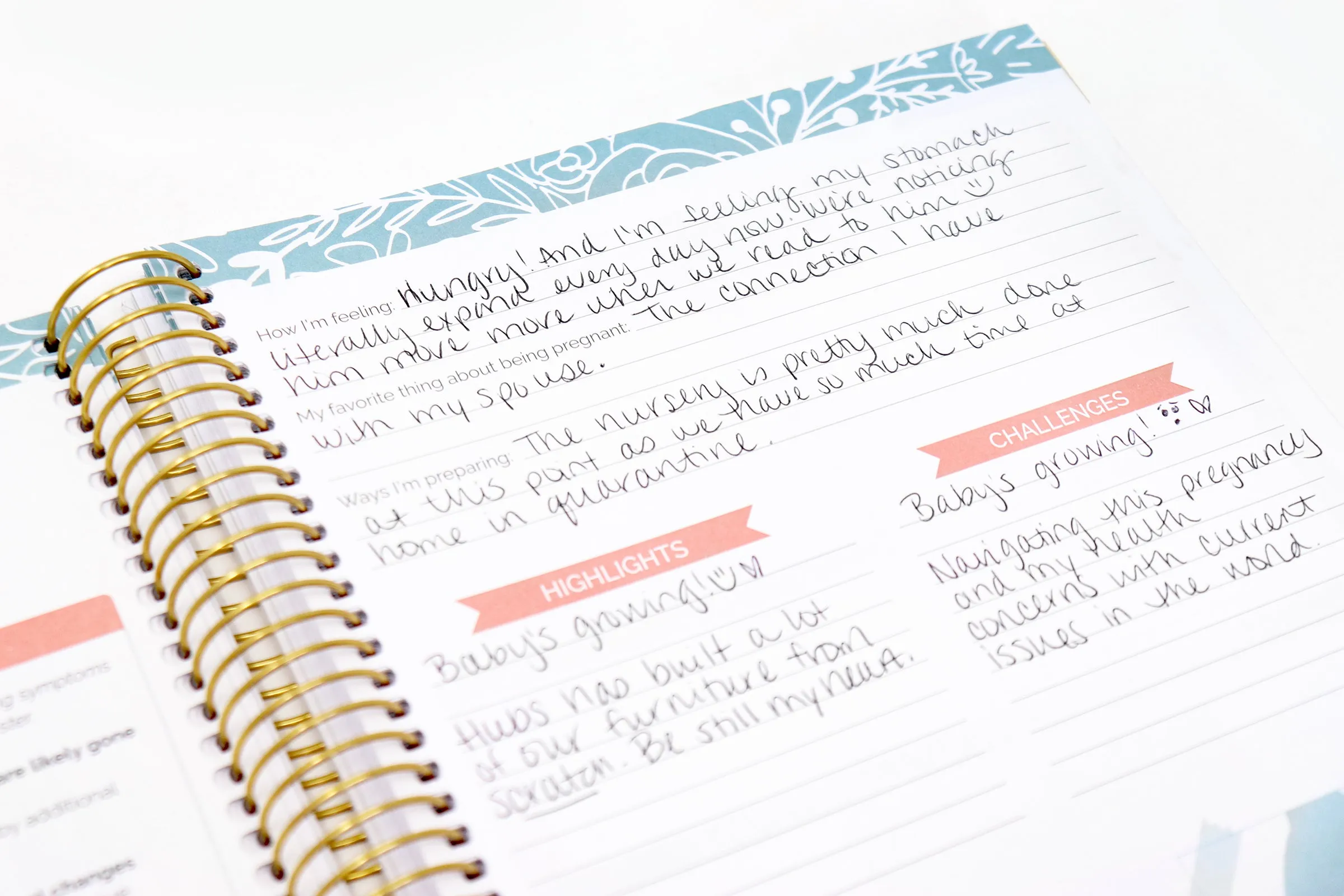 Pregnancy & Baby's First Year Planner & Calendar, Planning for Joy®