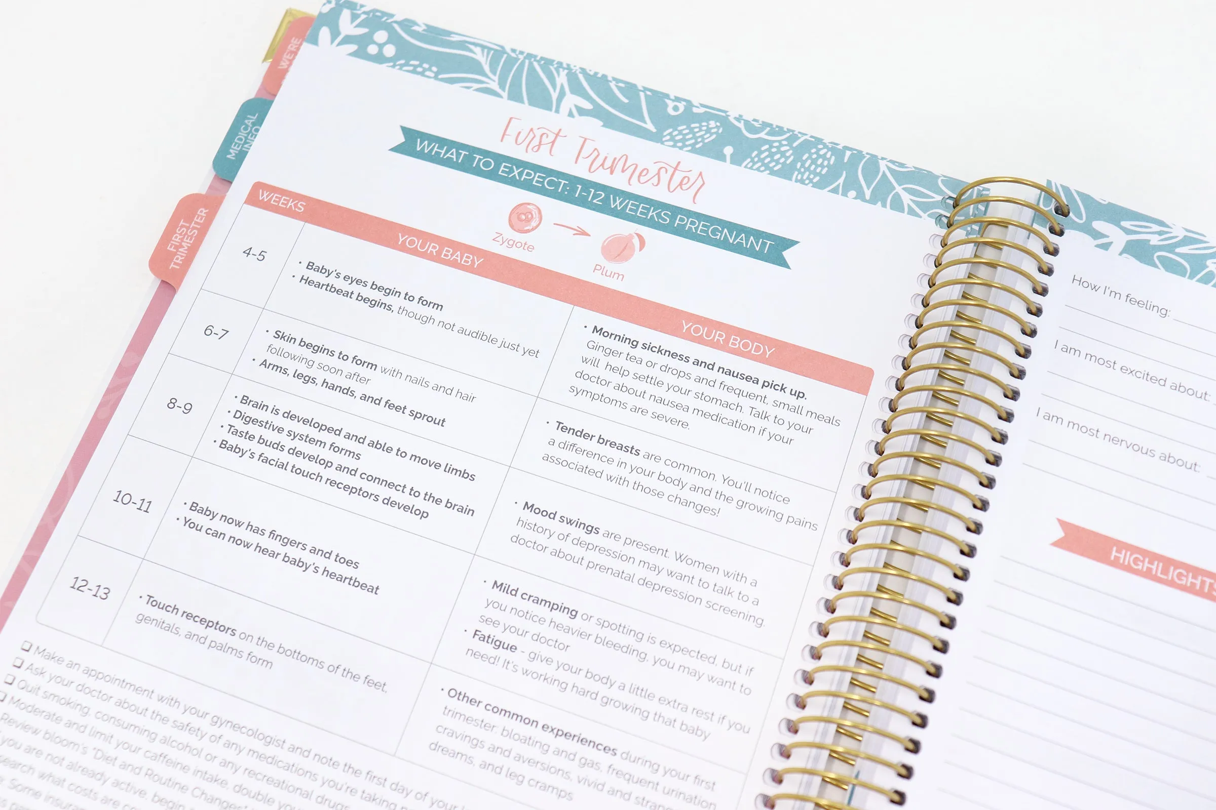 Pregnancy & Baby's First Year Planner & Calendar, Planning for Joy®