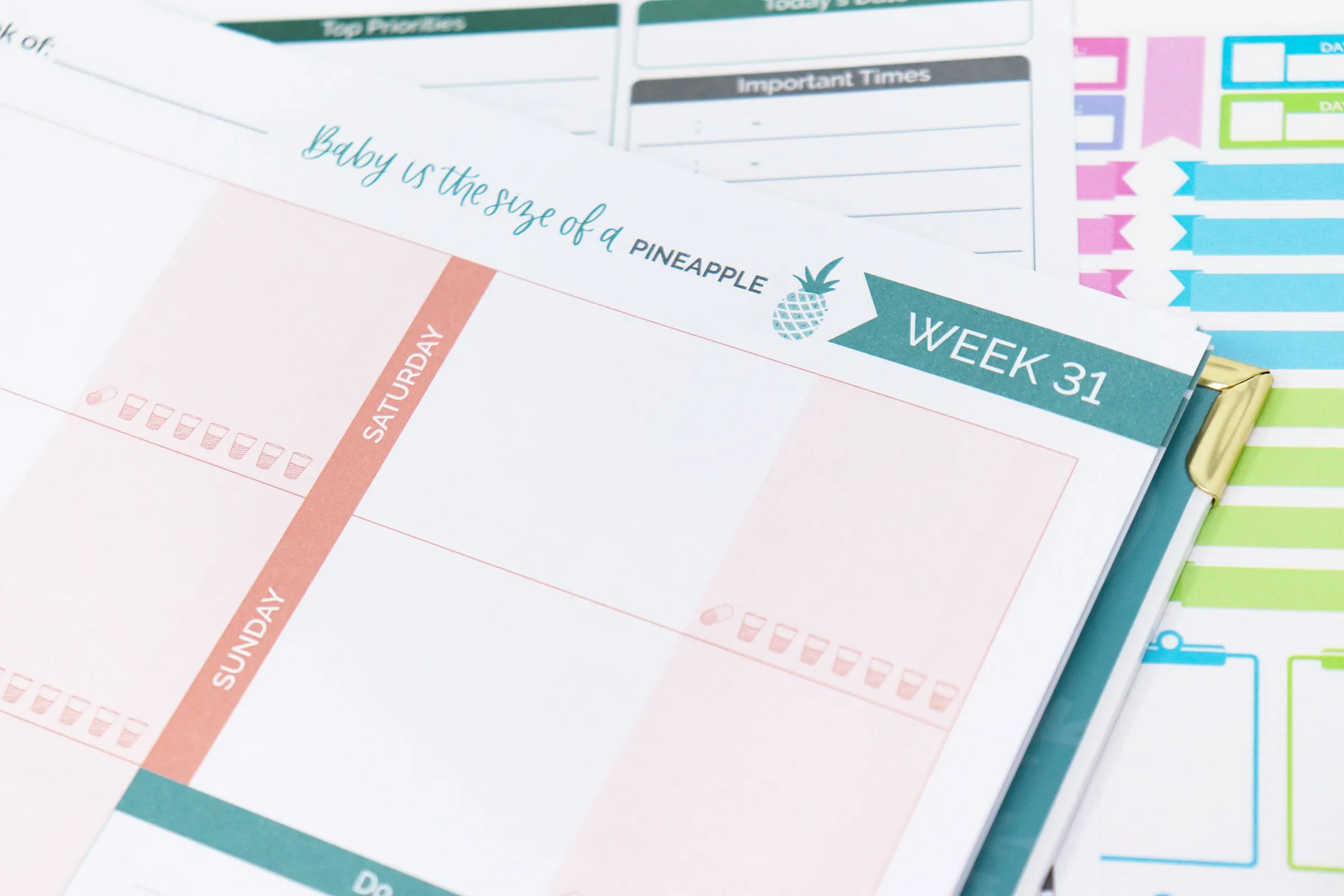 Pregnancy & Baby's First Year Planner & Calendar, Planning for Joy®