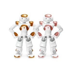 SoftBank Robotics NAO AI Edition